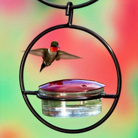 Thumbnail for 3-Piece Hanging Hummingbird Feeder Set - Attractive Metal Bottle Design with Sturdy Circular Frame & Comfortable Perch - Aesthetically Pleasing for Your Garden